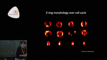 Structure and dynamics, crossing scales with super-resolution microscopy - Suliana Manley