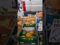 جمال المانجا بتاعتا مش هتلاقية فالعالم 