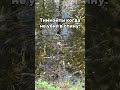 Тиммэйты когда не убил в спину #кс2 #cs2 #cs #csgo #ксго #mpkbk #ксмемы #прикол #юмор #faceit
