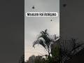 Mausam Hai Ashiqana Lata Mangeskar Song Music Bollywood Love Weather Shortvideo Shorts Mausam Hai Ashiqana Lata Mangeskar Song Music Bollywood Love Weather Shortvideo Shorts