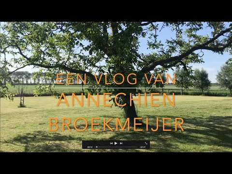 Video: De Betekenis Van Het Onbeduidende