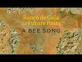 Banco de gaia and future pasts  a bee song