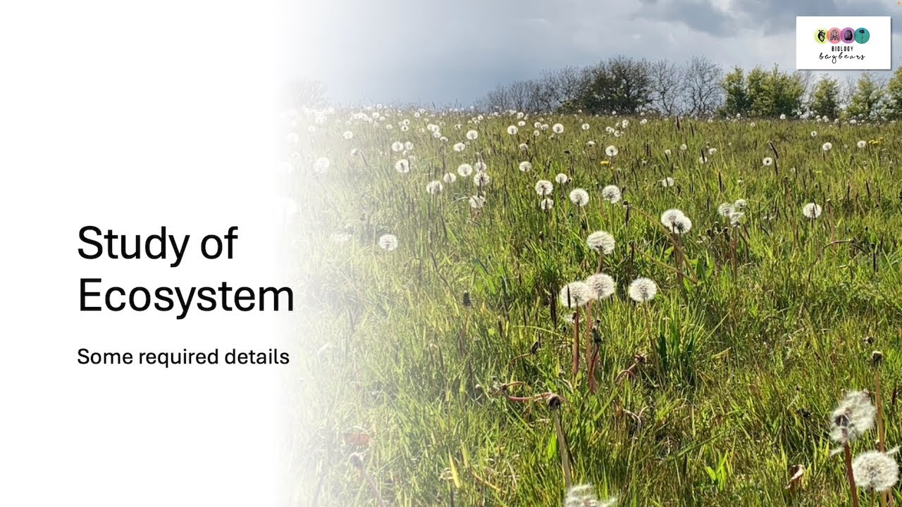 Biology Bugbears EcologyStudy of EcosystemFlora & FaunaLeaving Cert