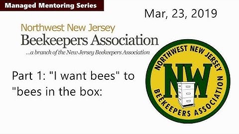 Managed mentoring session -  Part 1