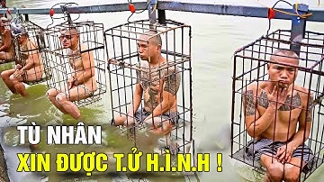Nhà Tù An Ninh Cao Nhất Thế Giới: CECOT (Nơi giam giữ những kẻ thủ ác nhất)