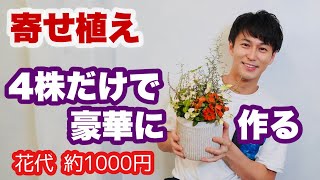 【寄せ植え】ノーカットで全部見せます！三上流 4株寄せ植え 【花の選び方】【植えるコツ】