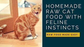 Feline Instincts Raw Cat Food Supplement: DIY Raw Cat Food by Wildernesscat 1,117 views 6 years ago 59 seconds