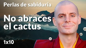 No abraces el cactus - Perlas de Sabiduría [Lección 1] (PARTE 4)| Lama Rinchen