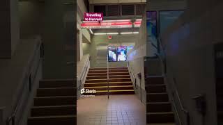 #going to #harvard #travel #airport #campus #silverline #bus to #southstation #shorts #redline