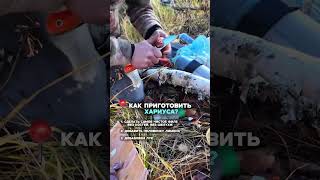 Как приготовить Хариуса