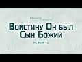 Ев. от Иоанна: 104. «Воистину Он был Сын Божий» (Алексей Коломийцев)