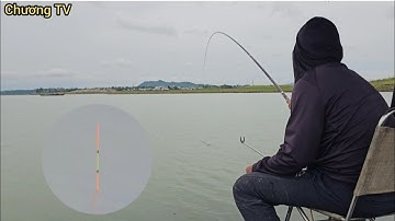 Câu đài tự nhiên hành trình săn cá rô phi sau cơn mưa lớn ở đập thủy điện trị an | câu cá tự nhiên 