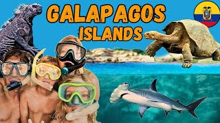 GALAPAGOS ISLANDS 🇪🇨 Overlanding South America