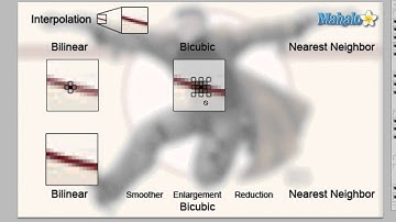 Photoshop Tutorial - Image Interpolation