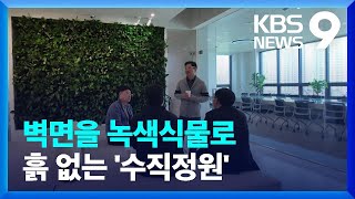 흙 없이 자라는 사무실 안 ‘작은 숲’…“수직정원 효과 톡톡” [9시 뉴스] / KBS  2024.04.28.