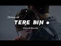 Tere Bin Drama OST | Slowed Reverb | Sad song 2023 | #Fk_lofi_vibes #lofi