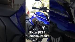 Fazer Fz25 Abs Personalizada Braba