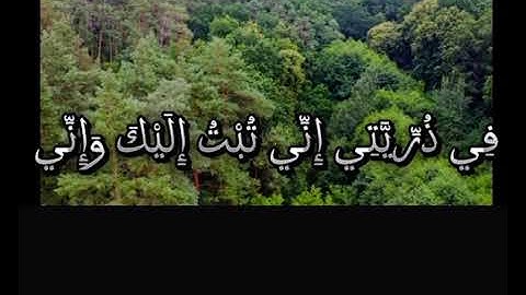 خشوع لا يوصف: استمع لتلاوات القارئ بسام 👌 الفلسطيني❤️👆👌  #القرآن_الكريم