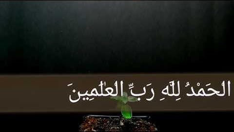 تلاوة عطرة لسورة الفاتحة بصوت الشيخ وديع اليمني