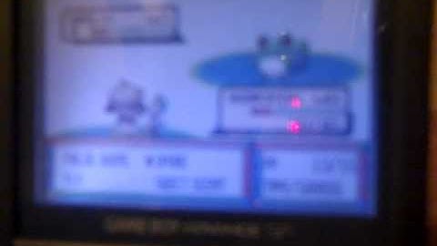 Shiny Marill Random Encounter! 2nd shiny in 1 day!