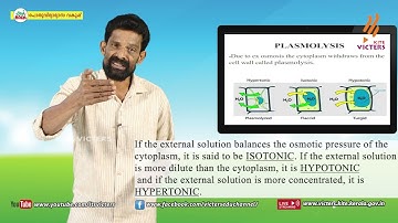 KITE VICTERS Plus One Botany Class 40 (First Bell-ഫസ്റ്റ് ബെല്‍)