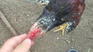 11 De Agosto De 2020