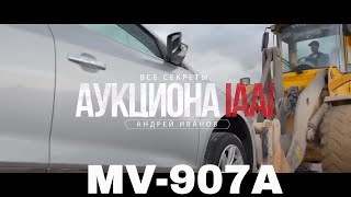 [Секреты IAAI] День 2: Что такое MV-907A?