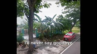 The Promise s  Martin Nievera