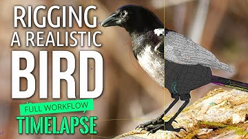 How to Rig a Bird - Advanced (Full time-lapse)