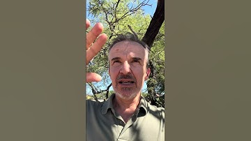 What am I committed to?