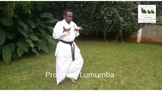 Prof. PLO Lumumba showing incredible Karate moves