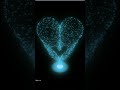 love bloms #coding