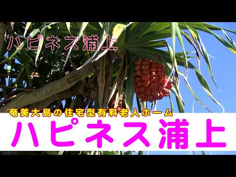 「ハピネス浦上」　世界自然遺産の奄美大島で、料理がおいしいと評判の住宅型有料老人ホーム