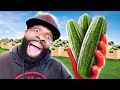I Lost Too Much Weight Eating ONLY Cucumber (Day 9)