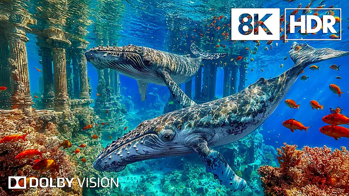 Secrets of the Deep Sea in 8K HDR | Dolby Vision™