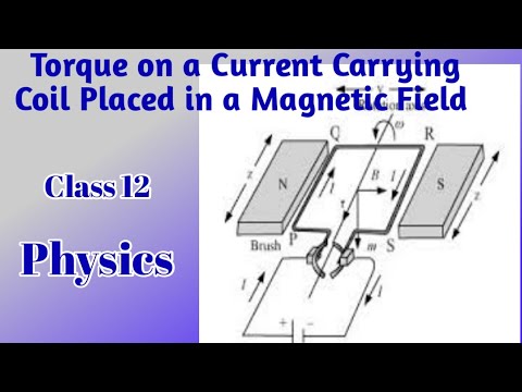 Torque on a current carrying coil placed in a magnetic field - YouTube