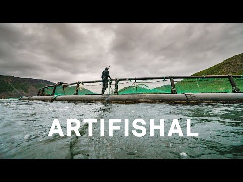 Artifishal Trailer