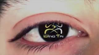 Erster Wing Tai Regensburg-Studenten-Trailer von 2013 Erster Wing Tai Regensburg-Studenten-Trailer von 2013
