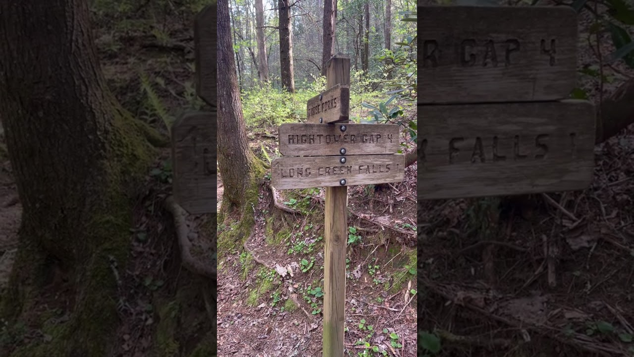 Stover Creek Shelter to Gooch Mtn Shelter