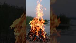 Big bonfire 🔥 #asmr #fire
