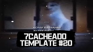 Подборка видео из тикток по тренду 7cacheado template #20