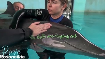 Christmas mep collection #1