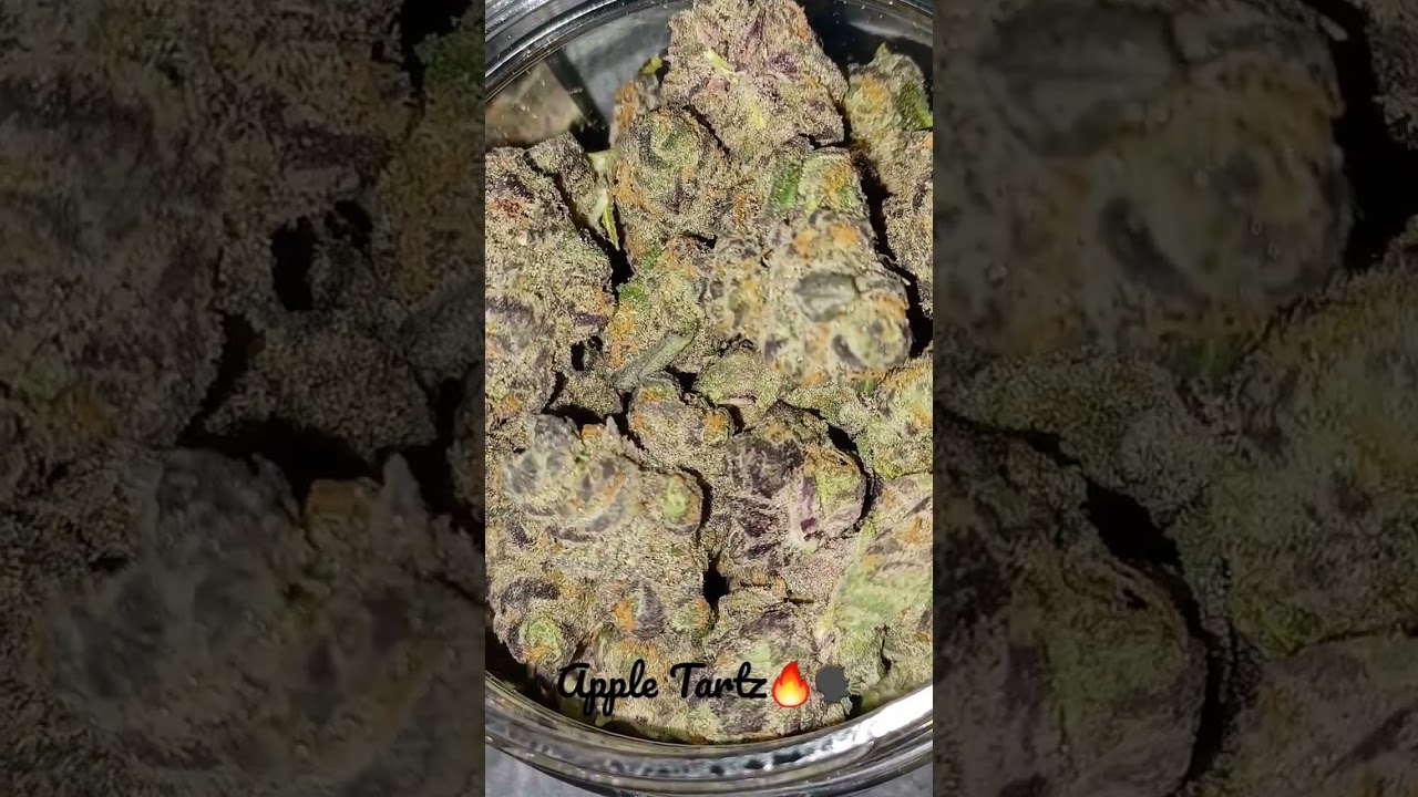 Apple Tartz Strain🔥