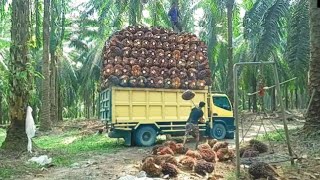 Inilah gunung nya orang riau pekan baru