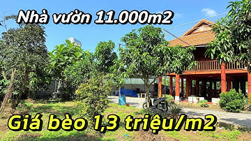 Nhà Vườn Giá Rẻ - 11.000m2 Rộng Thoải Mái | HÙNG TRẦN BRVT 