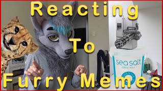 FURRY MEMES