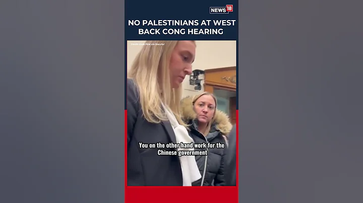 Protester Asks Why No Palestinians Were Invited To Congressional Hearing On West Bank | N18S