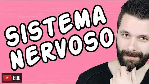Como o sistema nervoso coordena os sistemas motor e sensorial Brainly?