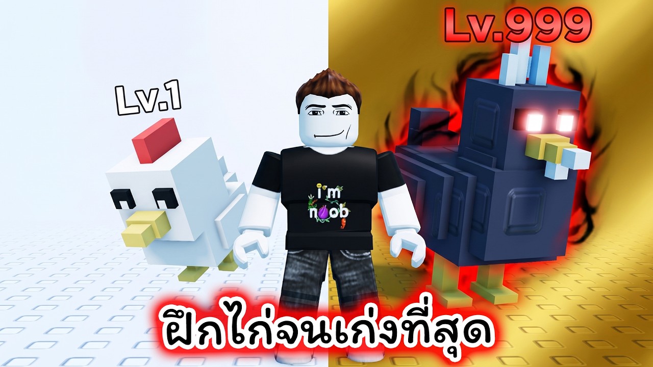 ฝึกไก่จนเก่งที่สุดแล้วมาสู้กัน Grow a Chicken Fighter Roblox