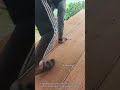 Power Planer Precision on Rooftop Plywood | Satisfying Woodworking Process